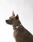Collar para perros Vichy negro
