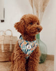 Arnés ajustable para perros Nature