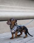 Arnés para perros Vichy negro