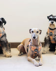 Arnés ajustable para perros Londres