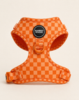 Arnés ajustable para perros Orange
