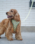 Arnés reversible para perros Vichy Avocado