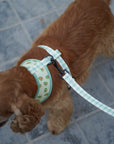 Arnés reversible para perros Vichy Avocado