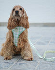 Arnés reversible para perros Vichy Avocado
