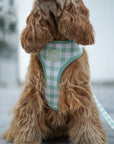 Arnés reversible para perros Vichy Avocado
