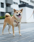 Arnés para perros Londres