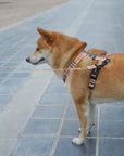 Arnés para perros Londres