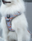 Arnés ajustable para perros Teckels