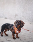 Arnés ajustable para perros Sabana