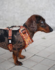 Arnés ajustable para perros Sabana