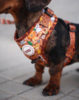 Arnés ajustable para perros Sabana