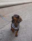 Arnés para perros Vichy negro