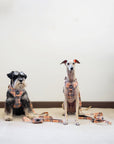 Arnés ajustable para perros Londres