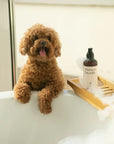 Champú para perros Detox
