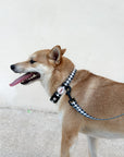Collar para perros Vichy negro