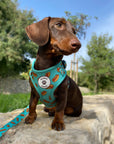 Arnés ajustable para perros Hot Dog