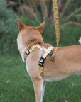 Arnés para perros Breakfast