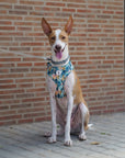 Arnés ajustable para perros Nature