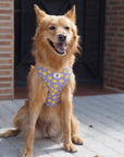 Arnés ajustable para perros Smile