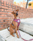 Arnés ajustable para perros Etnic