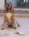 Arnés ajustable para perros Breakfast