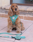 Arnés ajustable para perros Hot Dog