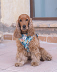 Arnés ajustable para perros Nature