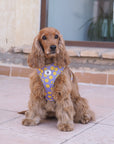 Arnés ajustable para perros Smile