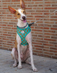 Arnés ajustable para perros Hot Dog
