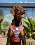 Arnés ajustable para perros Etnic