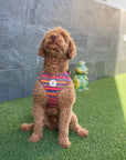 Arnés ajustable para perros Etnic
