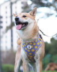 Arnés ajustable para perros Smile