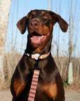 Collar para perros Sabana