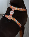 Arnés para perros Sabana