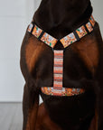 Arnés para perros Sabana