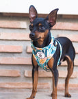 Arnés ajustable para perros Nature