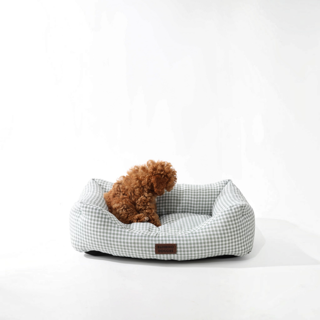 Cama para perros Bambino Doggies con estampado vichy turquesa y un cachorro caniche marrón sentado en ella