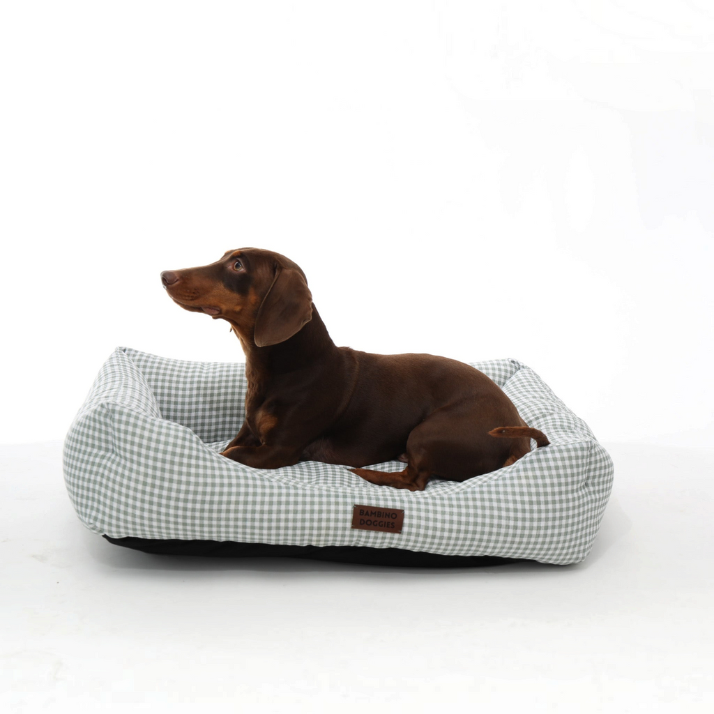 Perro salchicha marrón descansando en una cama Bambino Doggies de cuadros vichy turquesa con base antideslizante.