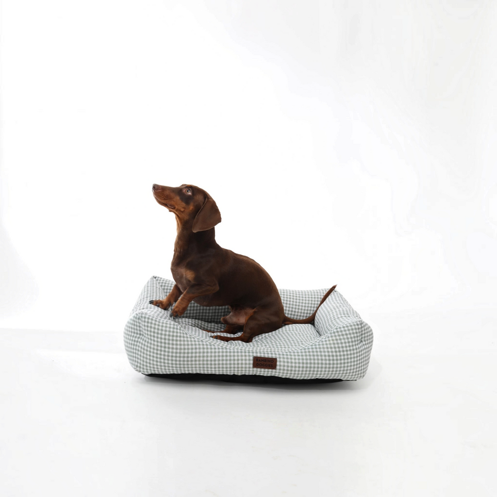 Perro salchicha sentado en cama Bambino Doggies de cuadros vichy turquesa con base antideslizante y etiqueta de piel