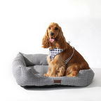 Cama para perros Bambino Doggies con estampado vichy negro y un cocker spaniel sentado encima con arnés a juego
