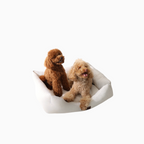 Dos perros caniche sobre una cama Bambino Doggies de estampado vichy beige con base antideslizante y relleno suave