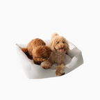 Dos perros pequeños descansando sobre una cómoda cama Bambino Doggies de estampado vichy en color beige