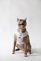 Arnés ajustable para perros Flowers