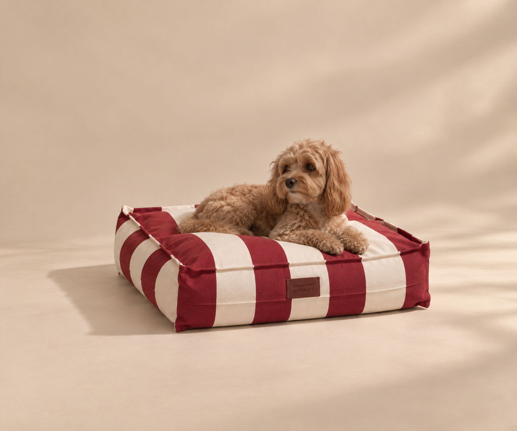 Cama desenfundable e impermeable para perros - Santa Rita