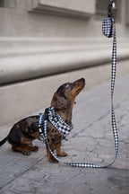 Arnés para perros Vichy negro
