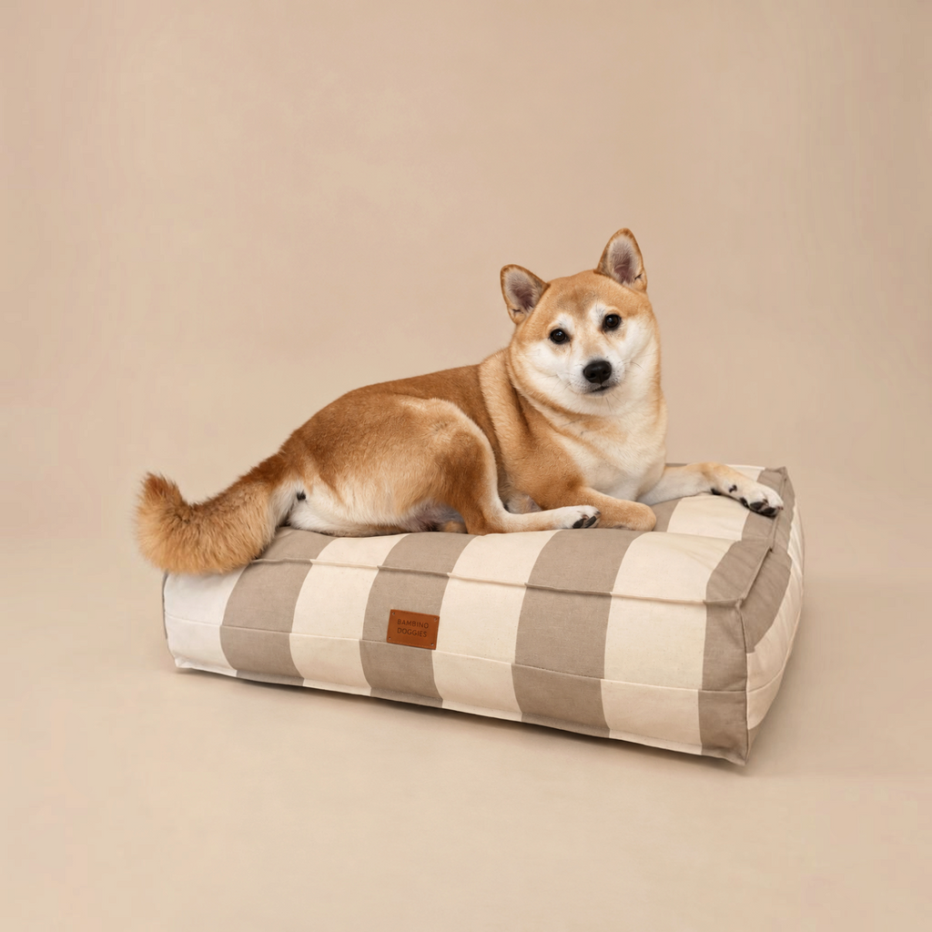 Perro Shiba Inu descansando sobre la cama impermeable y desenfundable Tomaso de Bambino Doggies con rayas beige