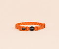 Collar para perros Orange