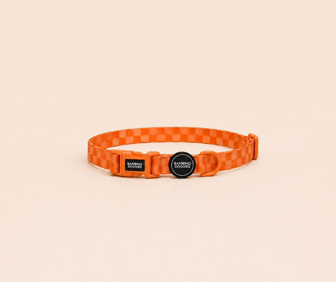 Collar para perros Orange