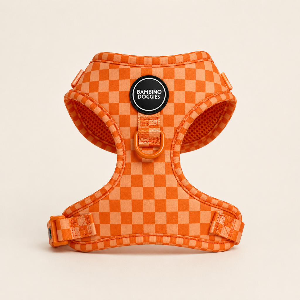 Arnés ajustable para perros Orange