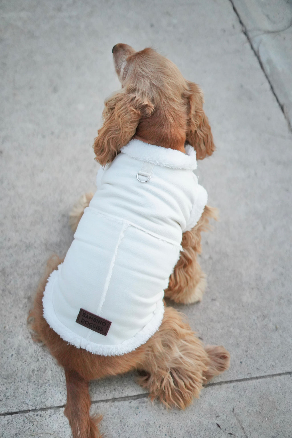 Abrigo para perros borreguito beige